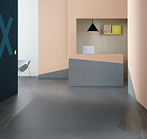 Forbo Marmoleum Decibel on Order 386635 eternity фото 2 | FLOORDEALER